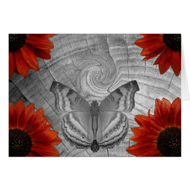 Butterfly Dream (Front Horizontal)