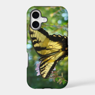 Butterfly Dreams