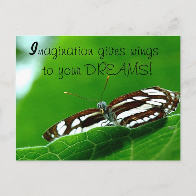 Butterfly Dreams post card (Front)