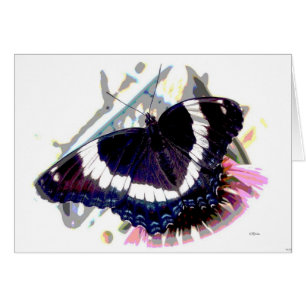 Butterfly Effect 3