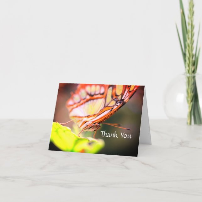 Butterfly Face Nature Thank You  (Front)