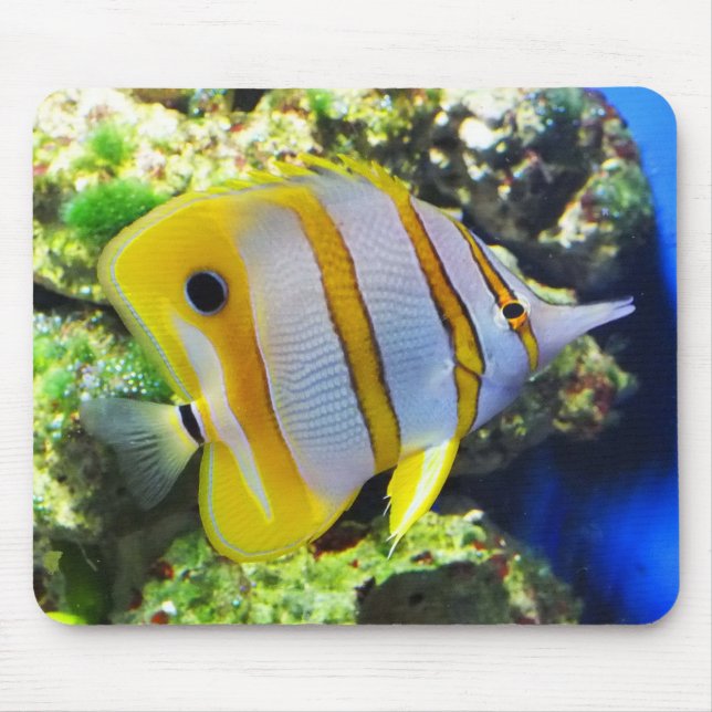 Butterfly fish mouse pad (Front)