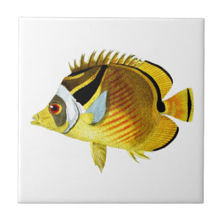 Butterfly Fish no.4 Tropical Coastal Home Decor Tile