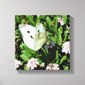 Butterfly Floral Canvas Print