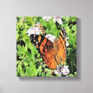 Butterfly Floral Canvas Print