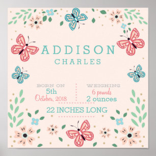 Butterfly Floral Garden Baby Stats Poster