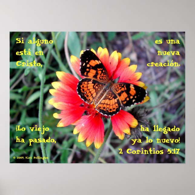 Butterfly Flower—2 Corinthians 5:17 Poster (Front)