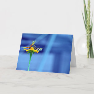Butterfly Flower Blue Card