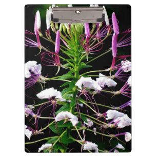 Butterfly Flowers Bees Nature Animal Office Art Clipboard