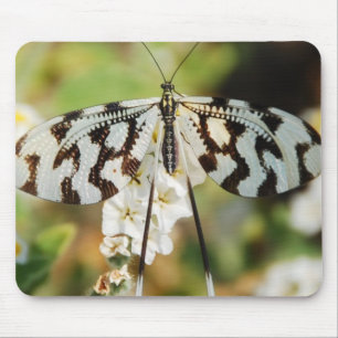 Butterfly Flowers Blossoms Wedding Shower Peace Mouse Pad