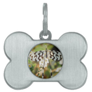 Butterfly Flowers Blossoms Wedding Shower Peace Pet Tag