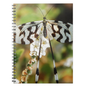 Butterfly Flowers Blossoms Wedding Shower Peace Spiral Notebook