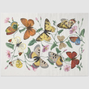 Butterfly Flowers Moths Vintage Rustic Decoupaging Tissue Paper