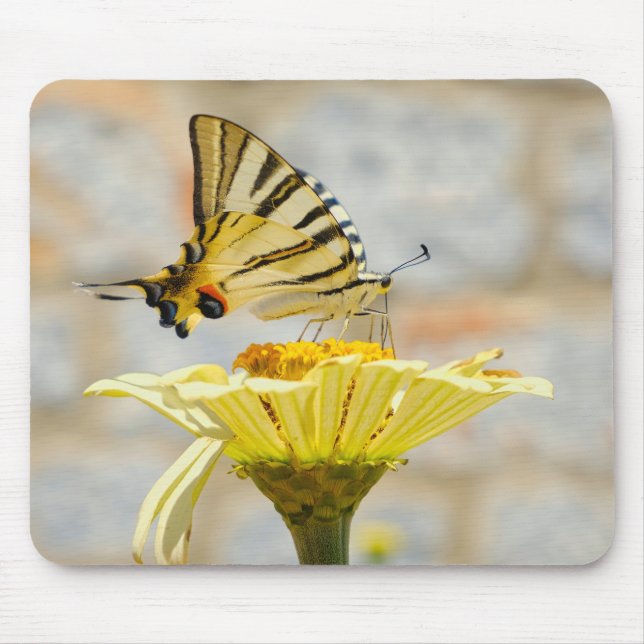 butterfly, flowers, nature mouse pad (Front)