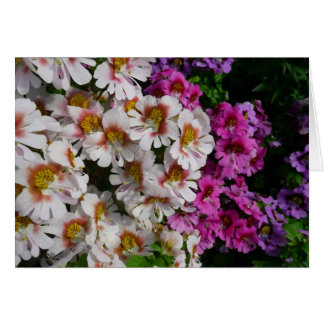 Butterfly Flowers White Pink and Purple
