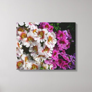 Butterfly Flowers White Pink and Purple Canvas Print