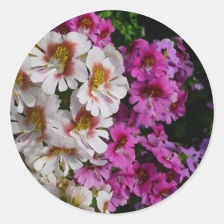 Butterfly Flowers White Pink and Purple Classic Round Sticker
