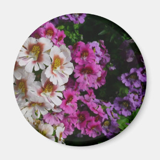 Butterfly Flowers White Pink and Purple Magnet