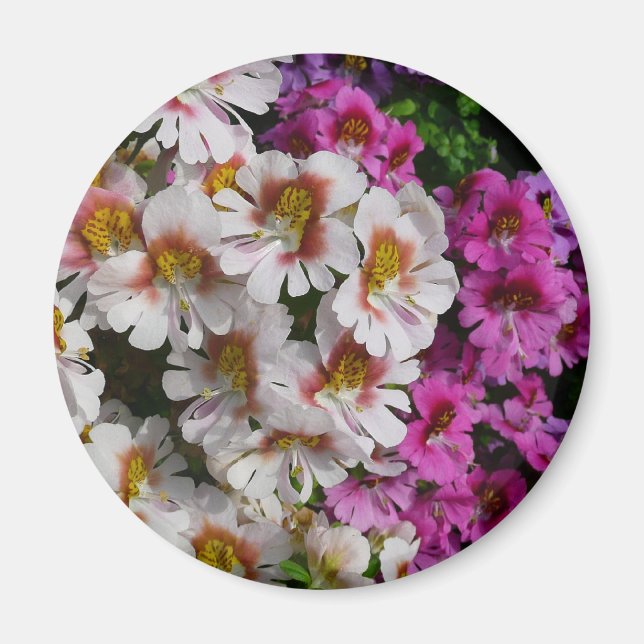Butterfly Flowers White Pink and Purple Magnet (Front)
