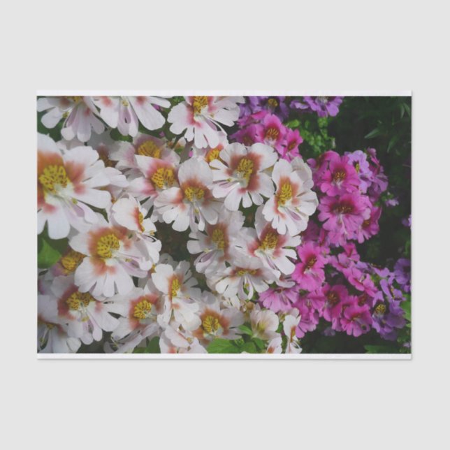 Butterfly Flowers White Pink and Purple Tissue Paper (Front)