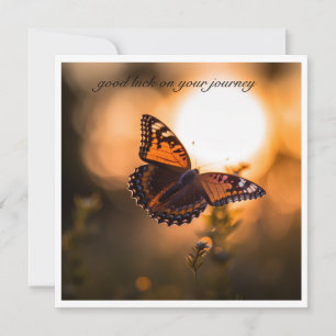 Butterfly flying into the sunset, customisable