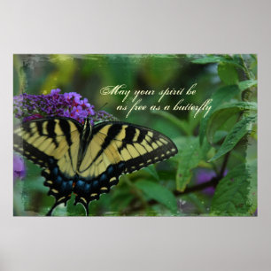 Butterfly Free Spirit Poster Print