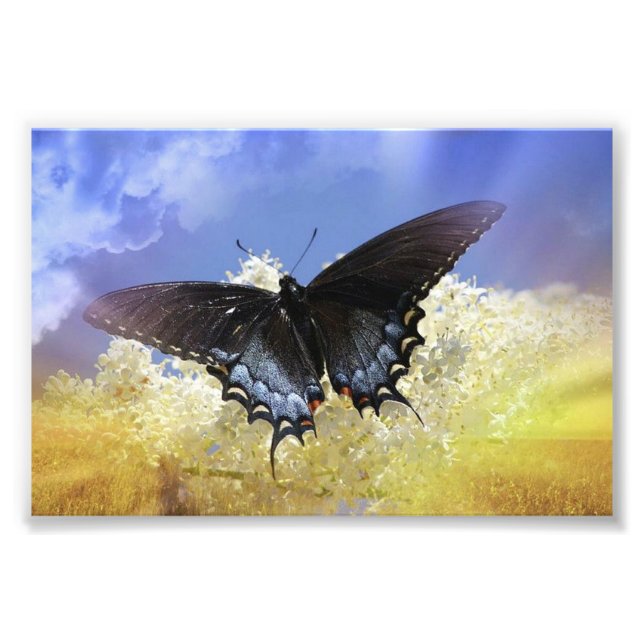 Butterfly Freedom Photo Print (Front)