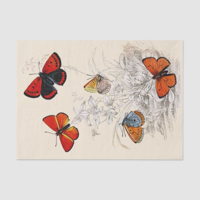 Butterfly Garden 10" X 15" Tissue Paper (Front)
