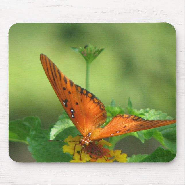 Butterfly Garden Mouse Pad (Front)