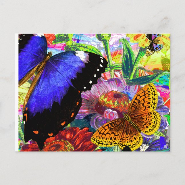 Butterfly Garden Postcard (Front)