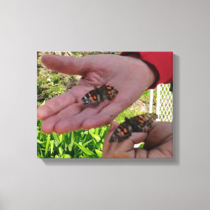 Butterfly Garden Wrapped Canvas