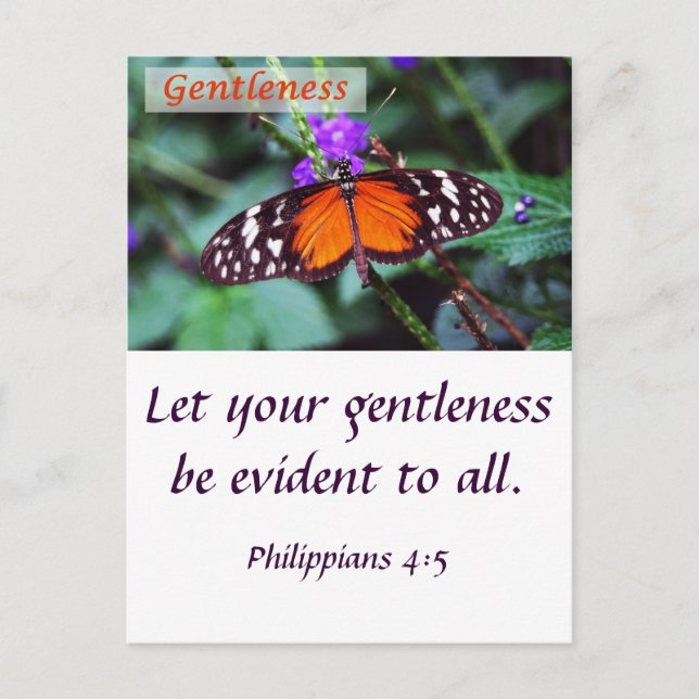 Butterfly - Gentleness Postcard (Front)