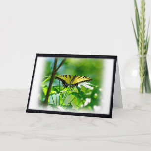 Butterfly Get Well Card