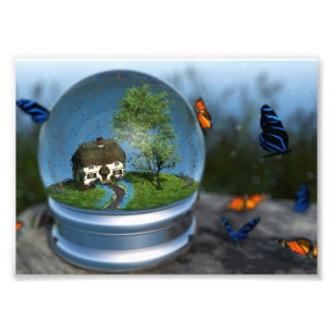 Butterfly Globe Photo Print