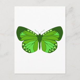Butterfly Greens Postcard