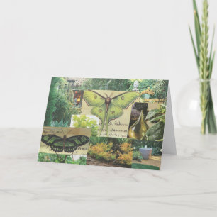 Butterfly Greeting Card