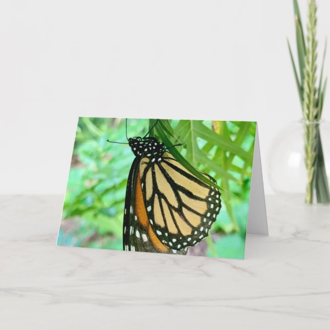 Butterfly Greeting Card (Front)