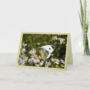 Butterfly Greeting:Card Card