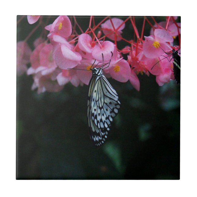 Butterfly Hanging from Flowers Tile (Front)