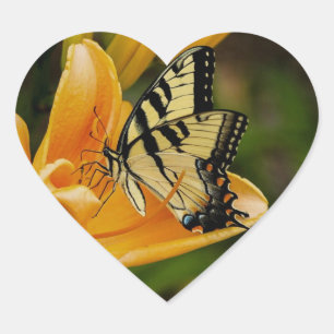 Butterfly Heart Sticker
