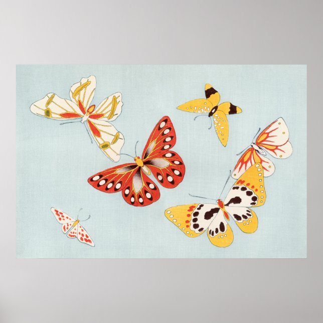 Butterfly Illustration Poster (Front)