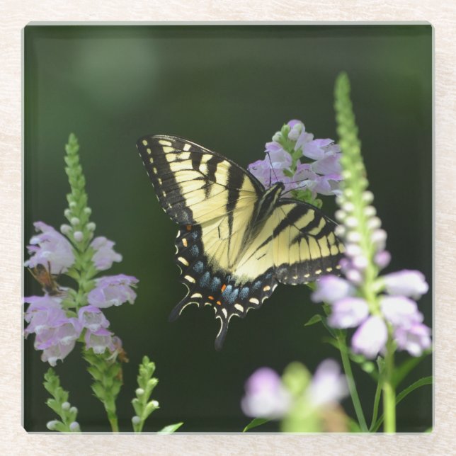 Butterfly In The Garden Glass Coaster (Front)