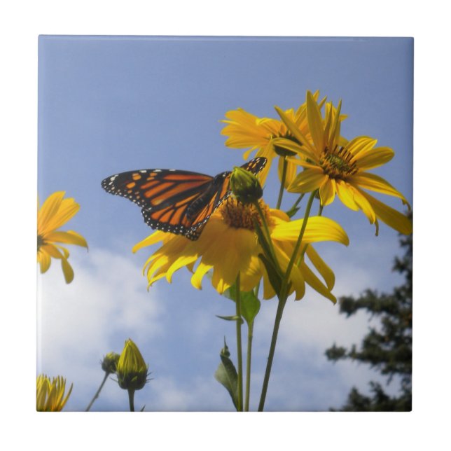 Butterfly in the Sky 3 Tile Trivet (Front)