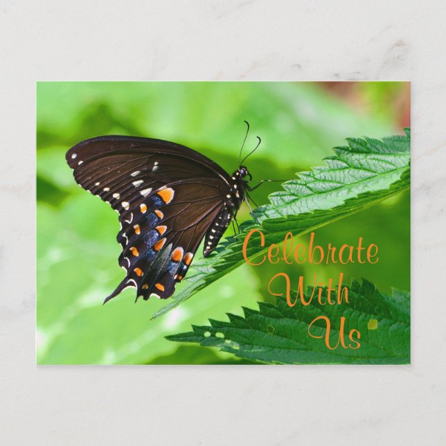 Butterfly Invitation Postcard (Front)