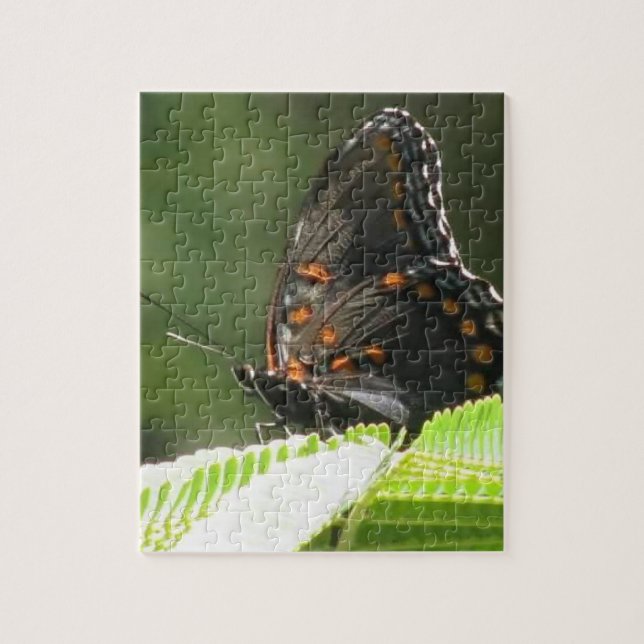 butterfly jigsaw puzzle (Vertical)