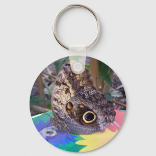 Butterfly Keychain