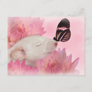 Butterfly Kisses Postcard
