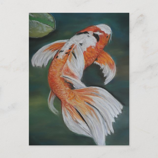 Butterfly Koi Fish Art Postcard (Front)