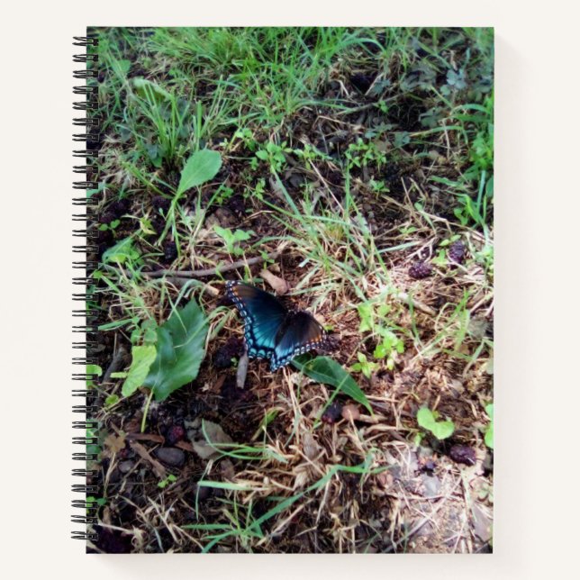 Butterfly Landing  Notebook (Front)