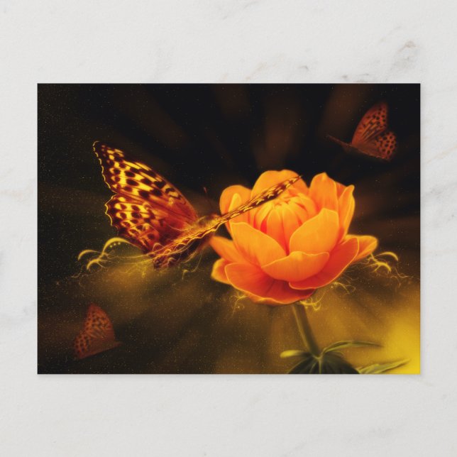 Butterfly Landing on Flower Postcard (Front)